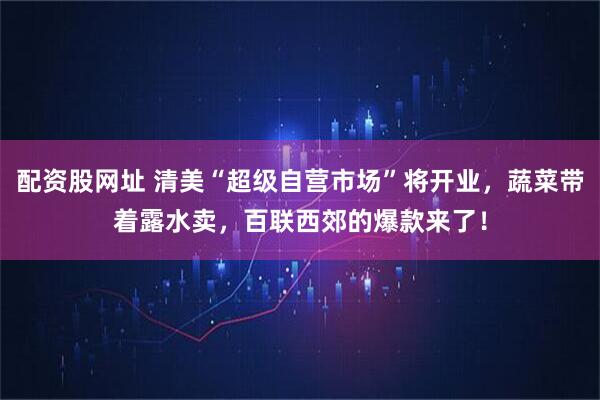 配资股网址 清美“超级自营市场”将开业，蔬菜带着露水卖，百联西郊的爆款来了！