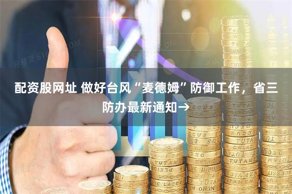 配资股网址 做好台风“麦德姆”防御工作，省三防办最新通知→